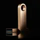 Флеш пам'ять USB Kingston 512 GB DataTraveler SE9 Gen 3 Gold (DTSE9G3/512GB)