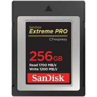 Карта памяти SanDisk 256 GB Extreme PRO CFexpress Type B (SDCFE-256G-GN4NN)