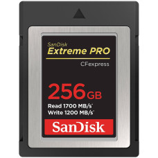Карта памяти SanDisk 256 GB Extreme PRO CFexpress Type B (SDCFE-256G-GN4NN)
