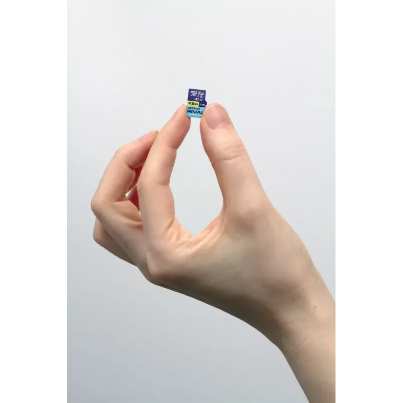 Карта пам'яті GOODRAM 256 GB microSDXC Rival (GGSM2AA-2560R12)