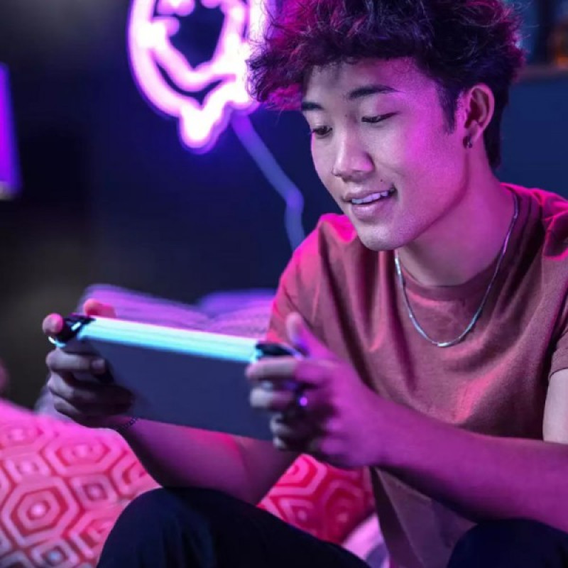 Карта пам'яті SanDisk 256 GB microSDXC GamePlay (SDSQXAV-256G-GN6XN)