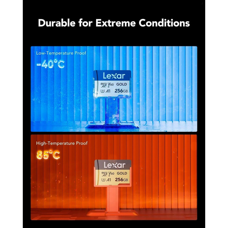 Lexar 256 GB microSDXC Professional Gold UHS-II U3 V60 A1 Class 10 (LMSGOLD256G-BNNNG)