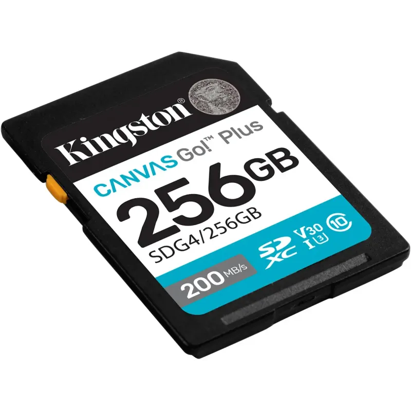 Карта пам'яті Kingston 256 GB SDXC Canvas Go! Plus UHS-I U3 V30 Class 10 (SDG4/256GB)