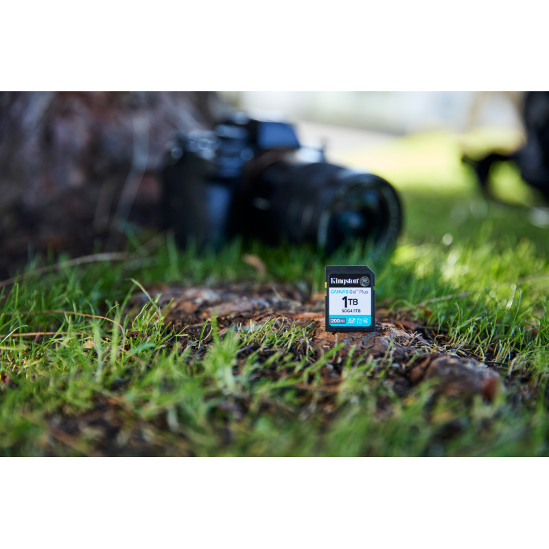 Карта пам'яті Kingston 256 GB SDXC Canvas Go! Plus UHS-I U3 V30 Class 10 (SDG4/256GB)