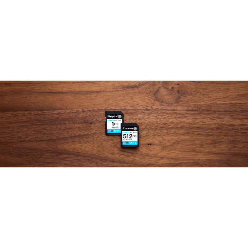Карта памяти Kingston 512 GB SDXC Canvas Go! Plus UHS-I U3 V30 Class 10 (SDG4/512GB)