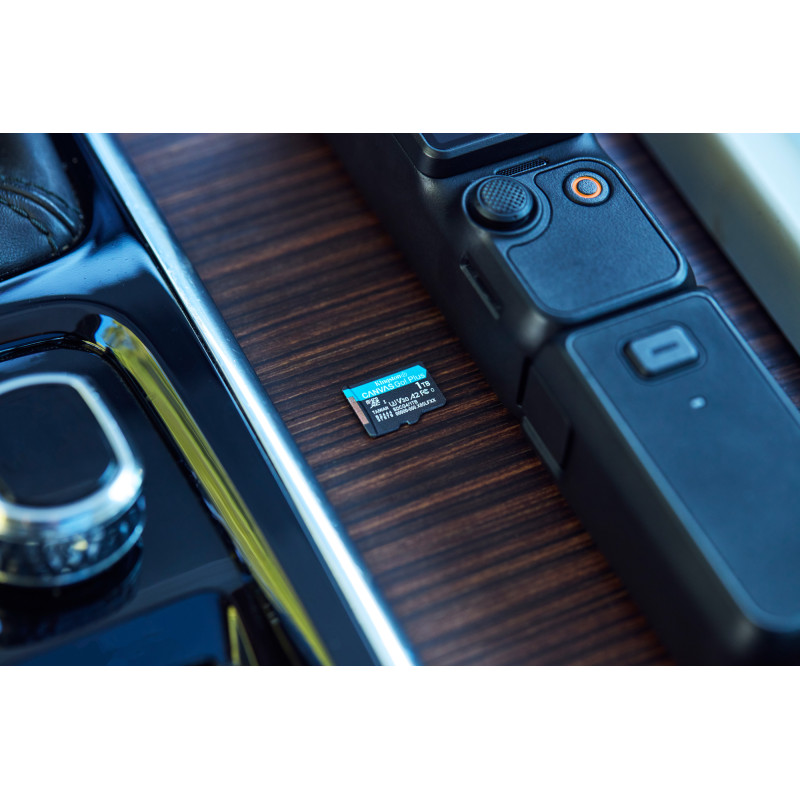 Карта памяти Kingston 1 TB microSDXC Canvas Go! Plus UHS-I U3 V30 A2 Class 10 (SDCG4/1TBSP)