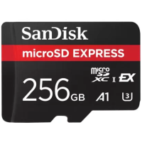 Карта памяти SanDisk 256 GB microSDXC Express Memory Card (SDSQXFN-256G-GN4NN)