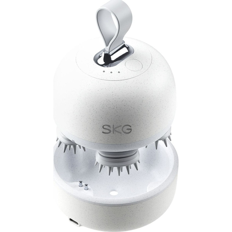 SKG BC3