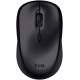 Сумка для ноутбука Trust Bologna Bag & Mouse Set black (24988)