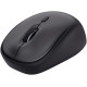 Сумка для ноутбука Trust Bologna Bag & Mouse Set black (24988)