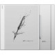 Электронная книга BOOX Note Max