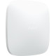 Ajax ReX White (000012333)