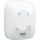 Ajax ReX White (000012333)