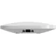 Ajax ReX White (000012333)