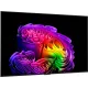 Телевизор LG OLED55G64LW
