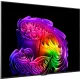 Телевизор LG OLED55G64LW