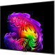 Телевизор LG OLED55G64LW