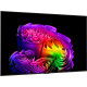 Телевизор LG OLED65G64LW