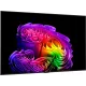 Телевизор LG OLED65G64LW