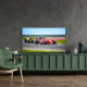 Thomson QLED 55QG7C14