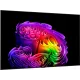 Телевізор LG OLED77G64LW
