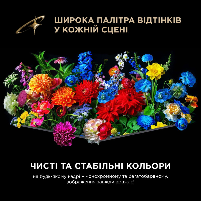 Телевизор TCL 55C8L