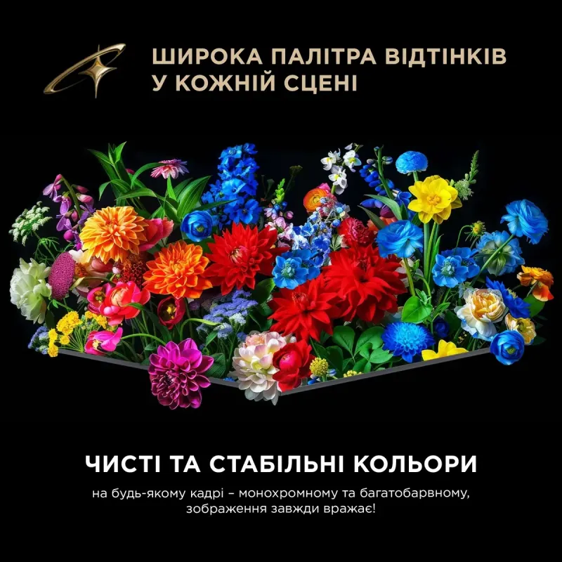 Телевизор TCL 75C8L