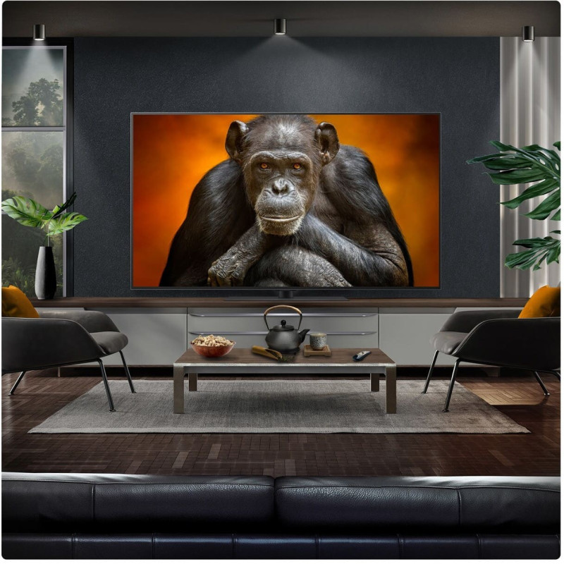 Телевизор LG OLED55G54LW