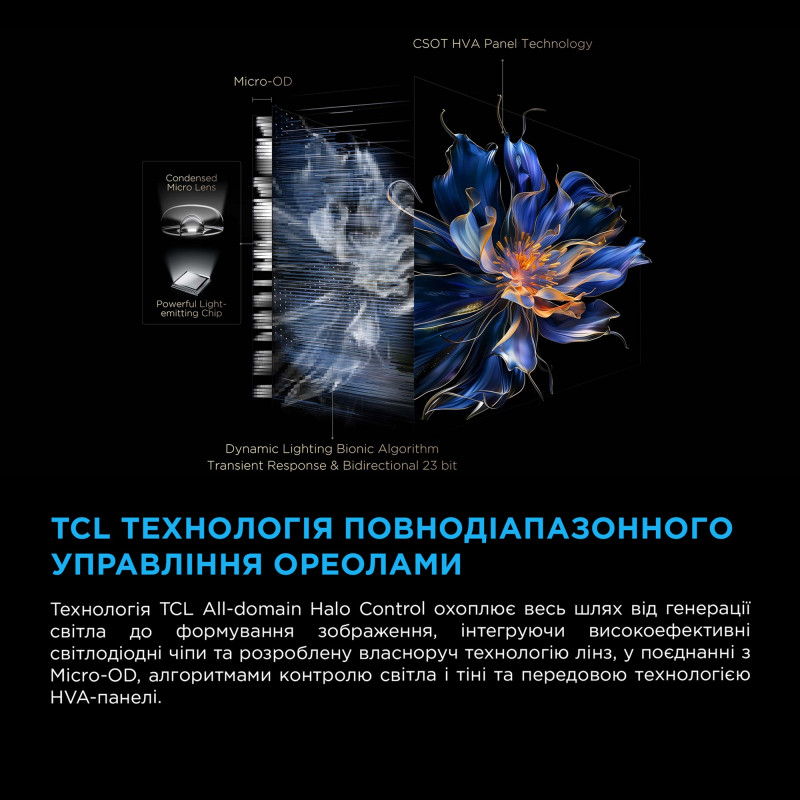 TCL 50C6K