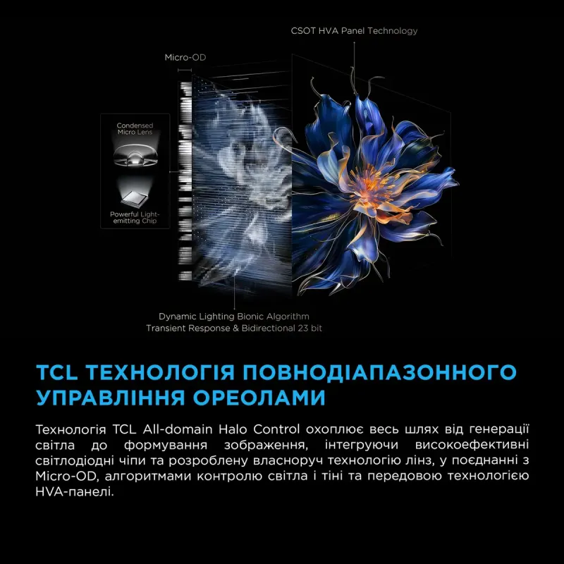 Телевизор TCL 50C6K