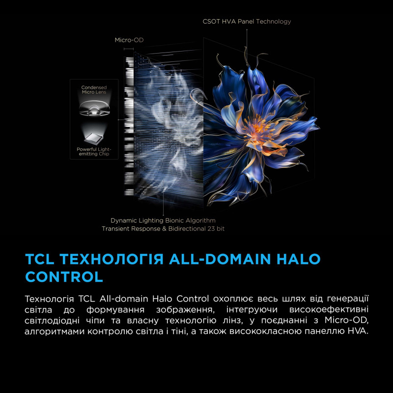 TCL 55C6KS