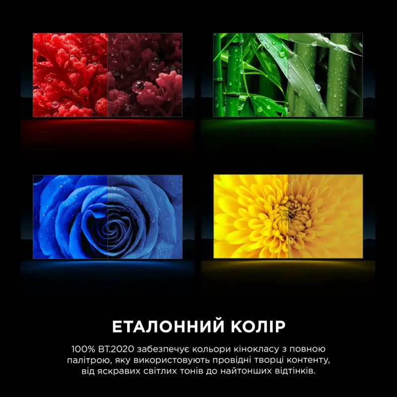 Телевизор TCL 115RM9L