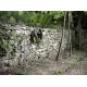 Шланг для поливу Karcher Шланг для полива Performance plus 3/4 - 25m (2.645-322.0)