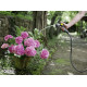 Karcher Садовый шланг Performance Premium 1/2” 20 м 2.645-324.0