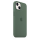 Чехол для смартфона Apple iPhone 13 Pro Max Silicone Case with MagSafe - Eucalyptus (MN6C3)