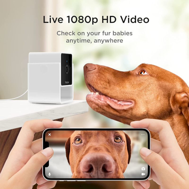 Petcube Камера відеоспостереження за домашніми тваринами Cam CC10US
