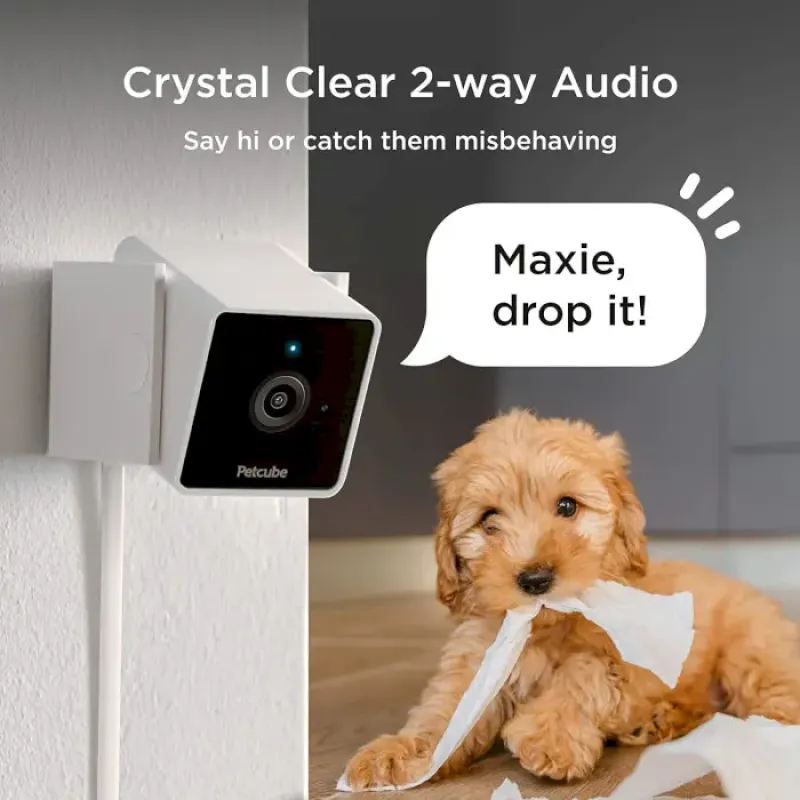 Petcube Камера відеоспостереження за домашніми тваринами Cam CC10US