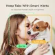 Petcube Камера відеоспостереження за домашніми тваринами Cam CC10US