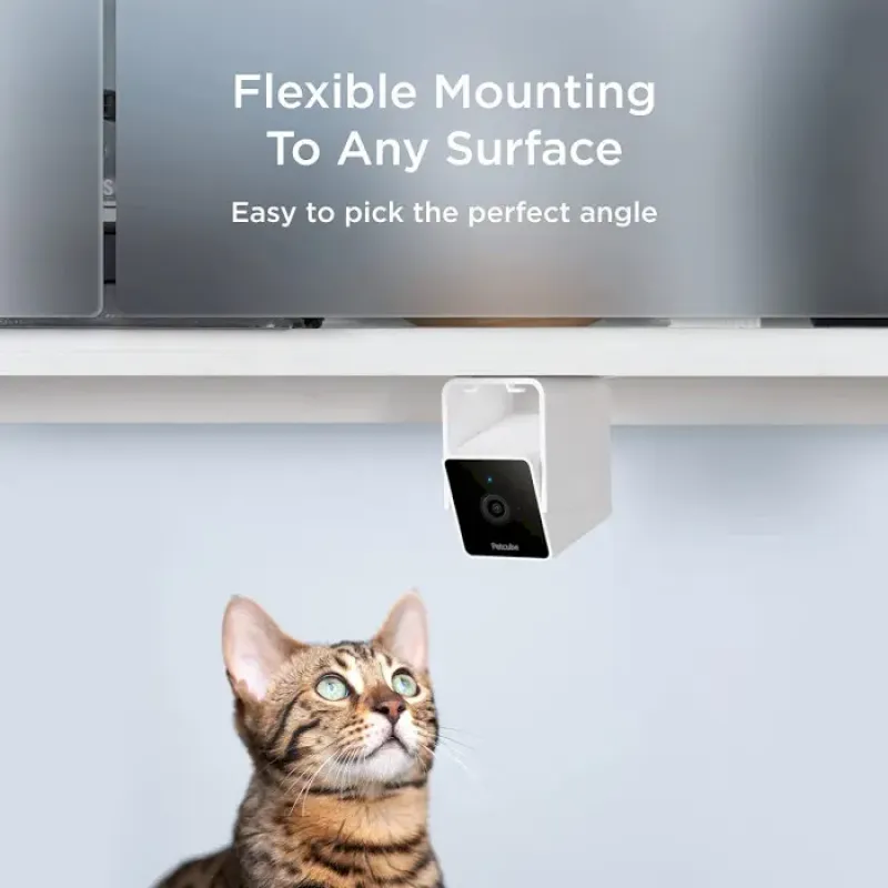 Petcube Камера відеоспостереження за домашніми тваринами Cam CC10US