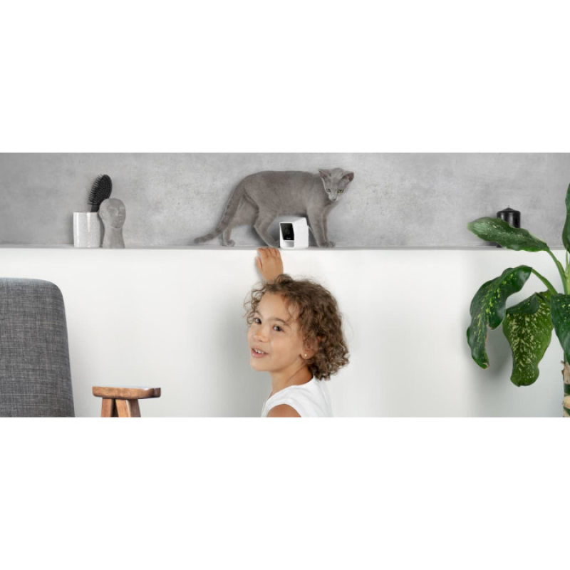 Petcube Камера відеоспостереження за домашніми тваринами Cam CC10US