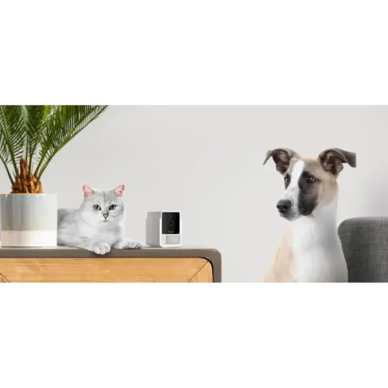 Petcube Камера відеоспостереження за домашніми тваринами Cam CC10US