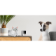 Petcube Камера відеоспостереження за домашніми тваринами Cam CC10US