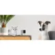 Petcube Камера відеоспостереження за домашніми тваринами Cam CC10US