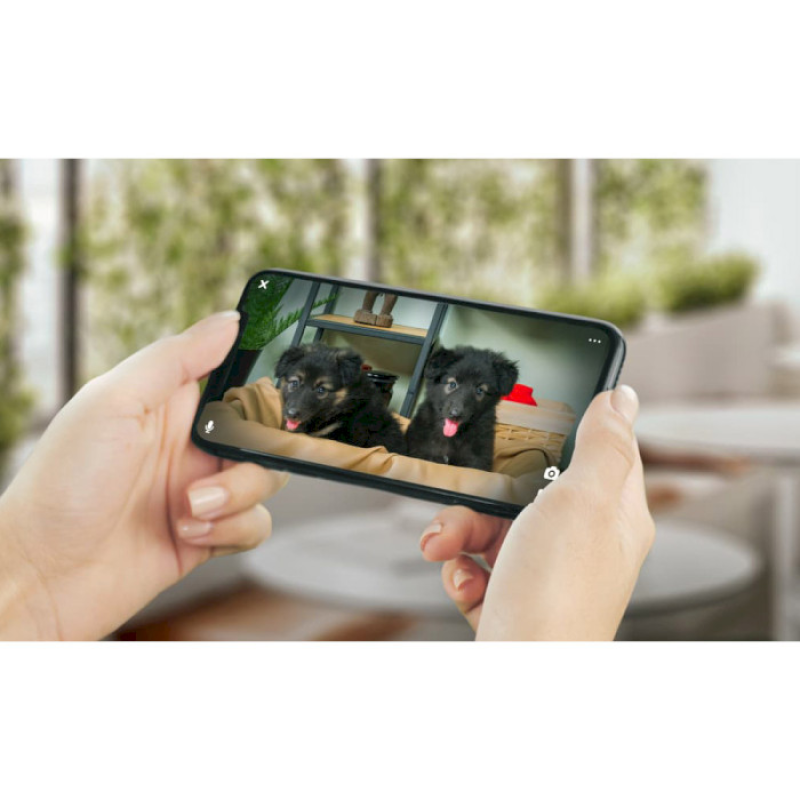 Petcube Камера відеоспостереження за домашніми тваринами Cam CC10US