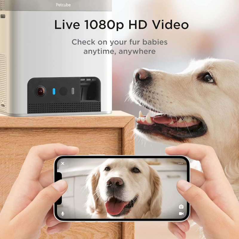 Petcube Інтерактивна HD-камера годівниця Bites 2 Lite (BL10US)