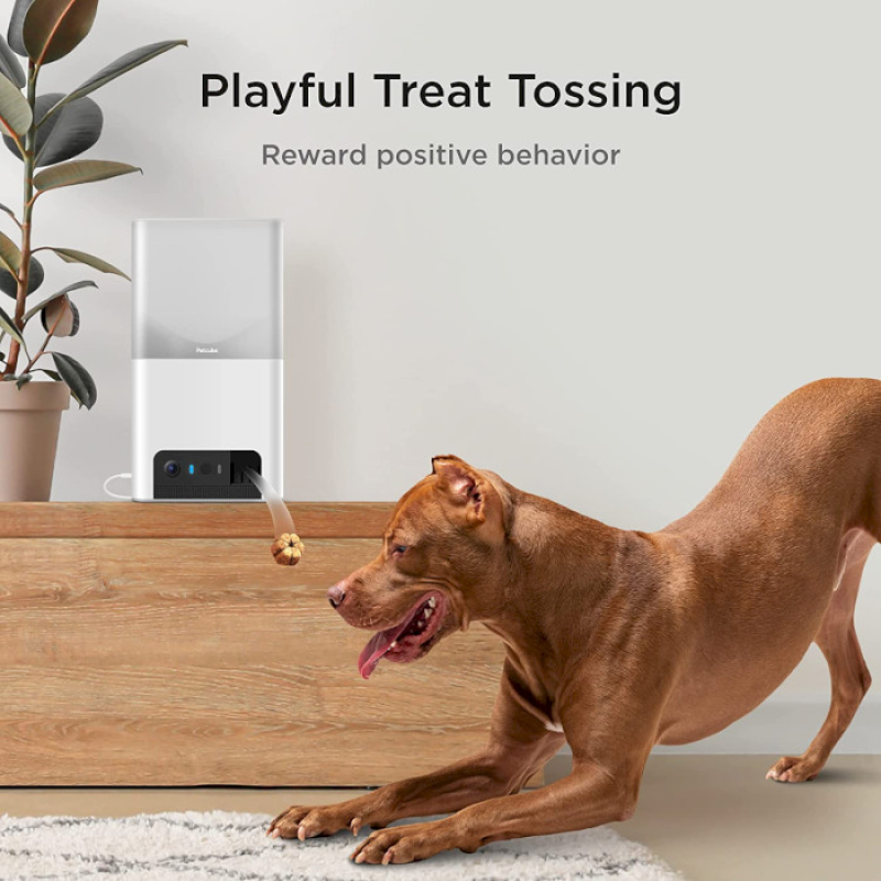 Petcube Інтерактивна HD-камера годівниця Bites 2 Lite (BL10US)