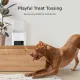 Petcube Інтерактивна HD-камера годівниця Bites 2 Lite (BL10US)