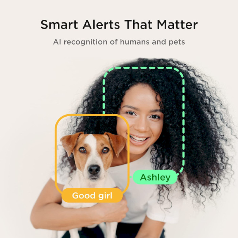 Petcube Інтерактивна HD-камера годівниця Bites 2 Lite (BL10US)