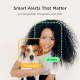 Petcube Інтерактивна HD-камера годівниця Bites 2 Lite (BL10US)