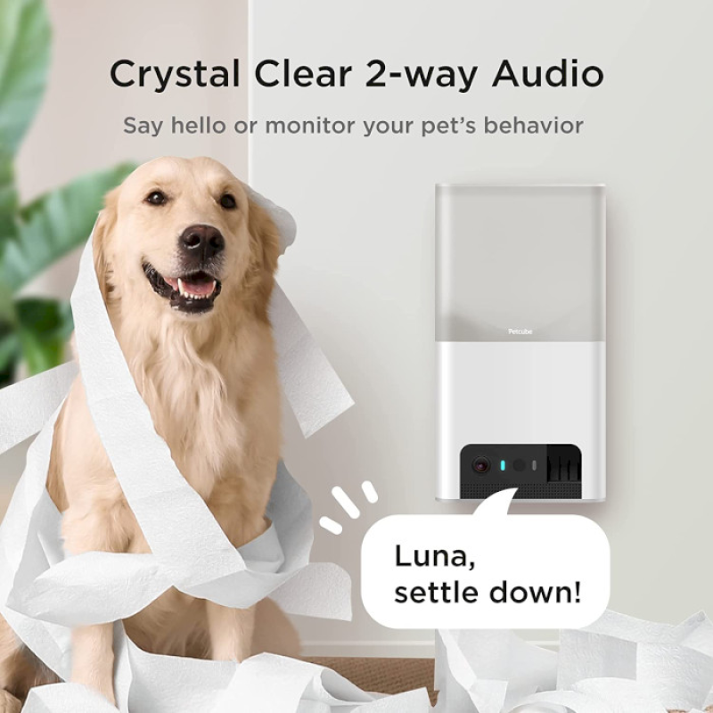 Petcube Інтерактивна HD-камера годівниця Bites 2 Lite (BL10US)